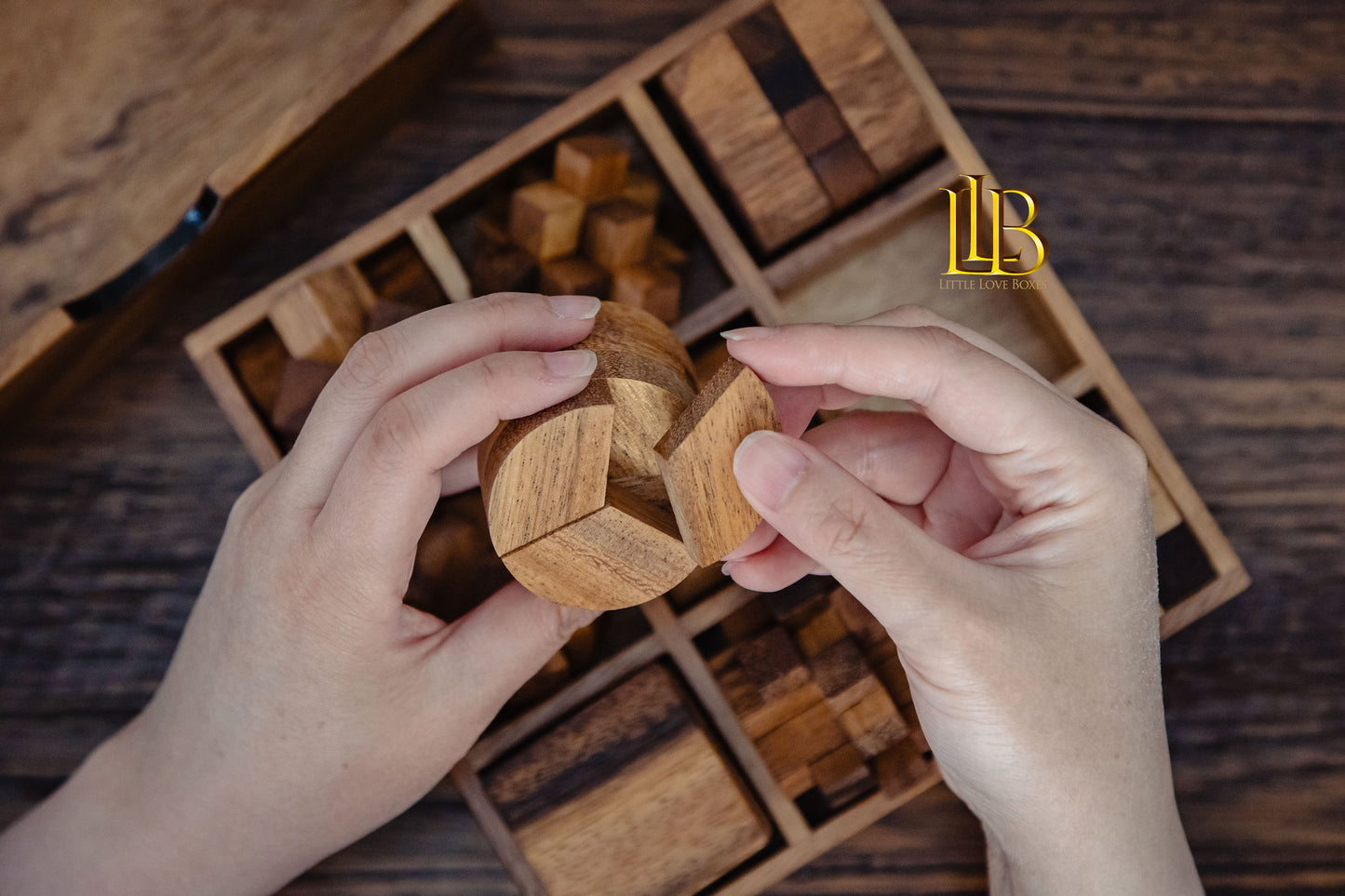 9003 STEM brain teaser 9 Puzzles set, personalised gift, wooden coloured game, gift for kids and adults, puzzle, personalised gift, brain teaser, games for kids - Little Love Boxes