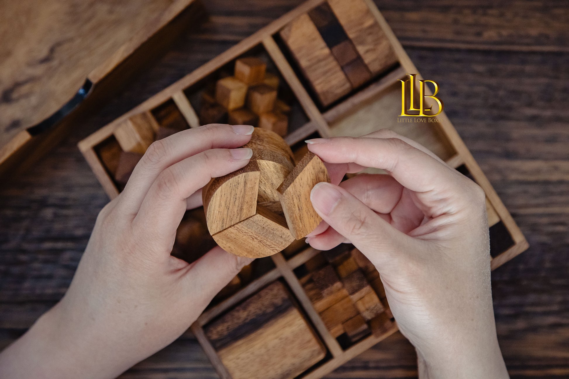 9003 STEM brain teaser 9 Puzzles set, personalised gift, wooden coloured game, gift for kids and adults, puzzle, personalised gift, brain teaser, games for kids - Little Love Boxes
